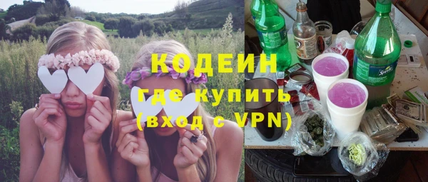 крисы Бугульма