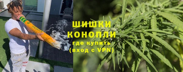 дмт Богородицк