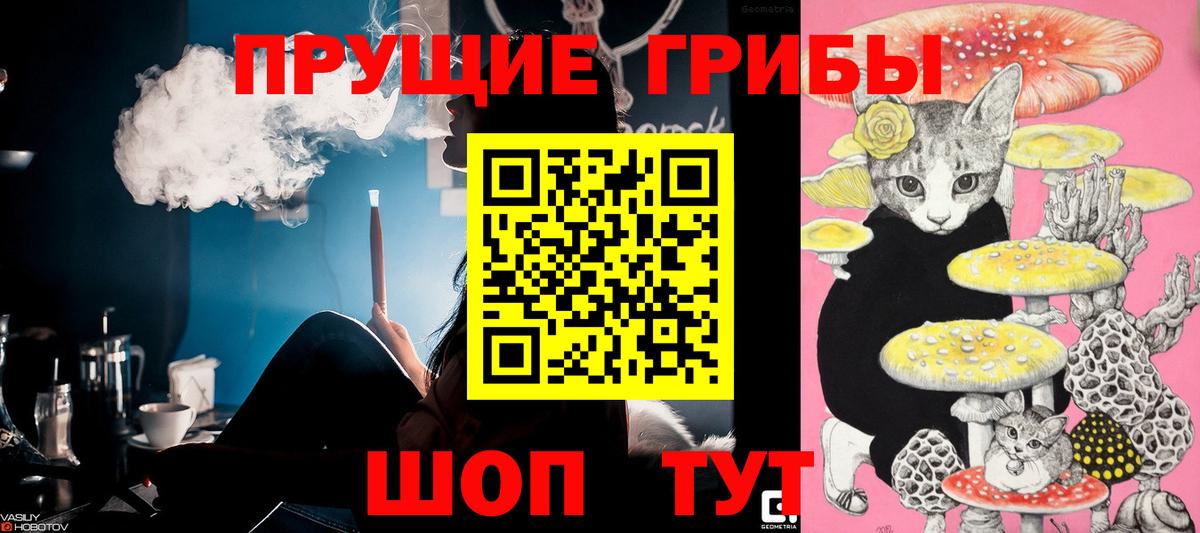 Галлюциногенные грибы Cubensis Армавир